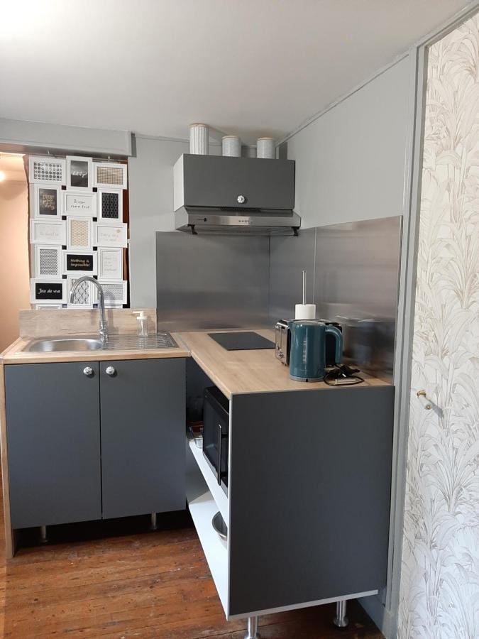 Dans Moulin Au Bord De L'Eau, Appartement Chaleureux Saint-Pryvé-Saint-Mesmin Zewnętrze zdjęcie