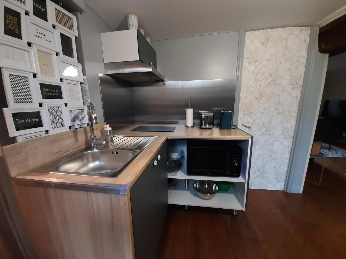 Dans Moulin Au Bord De L'Eau, Appartement Chaleureux Saint-Pryvé-Saint-Mesmin Zewnętrze zdjęcie
